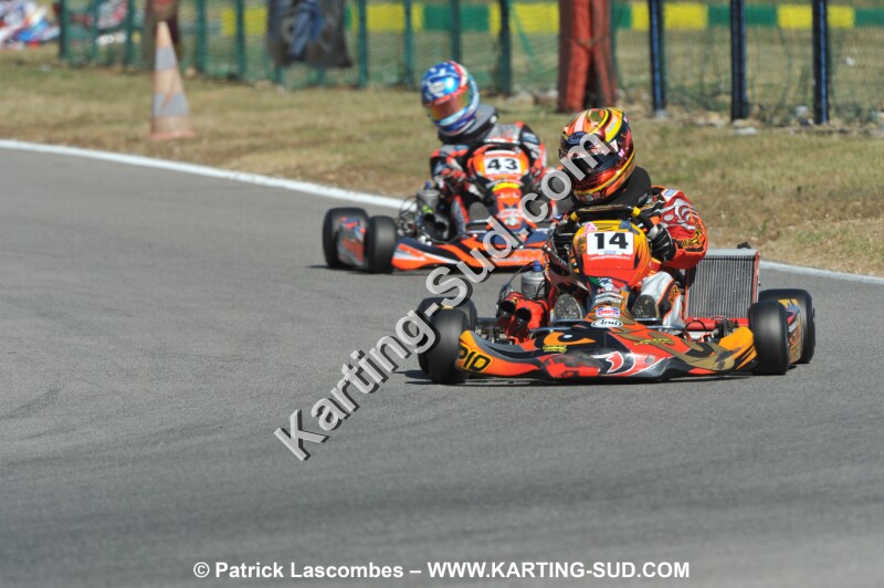 DSC_ (156).JPG